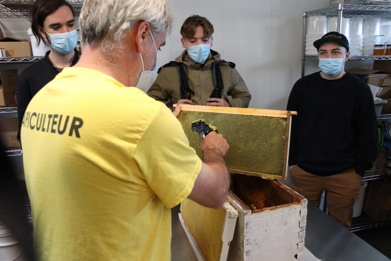 Formation professionnelle en Pâtisserie du terroir (DEP) - École hôtelière de la Capitale